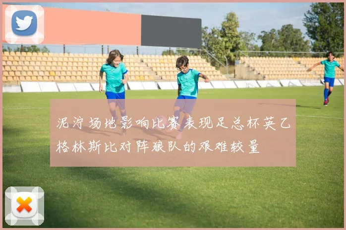 泥泞场地影响比赛表现足总杯英乙格林斯比对阵狼队的艰难较量