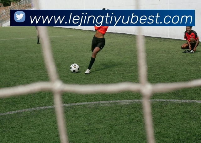 乐竟体育发展历程